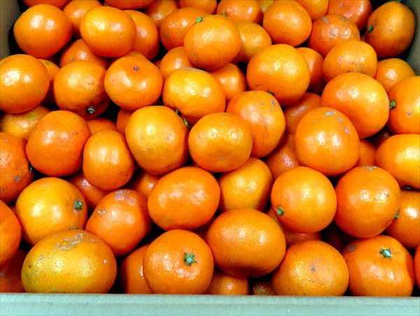 ����̐����C���[�W